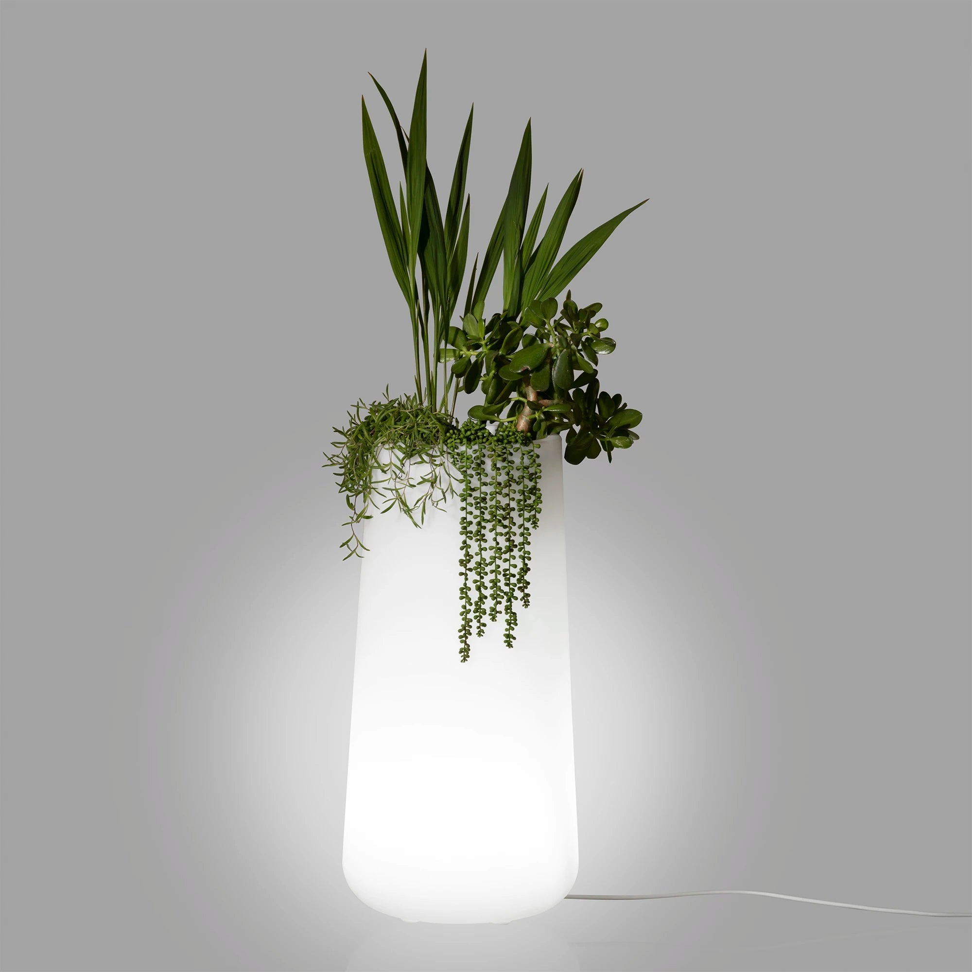 Tall Lighted Planter Pot - Dalya