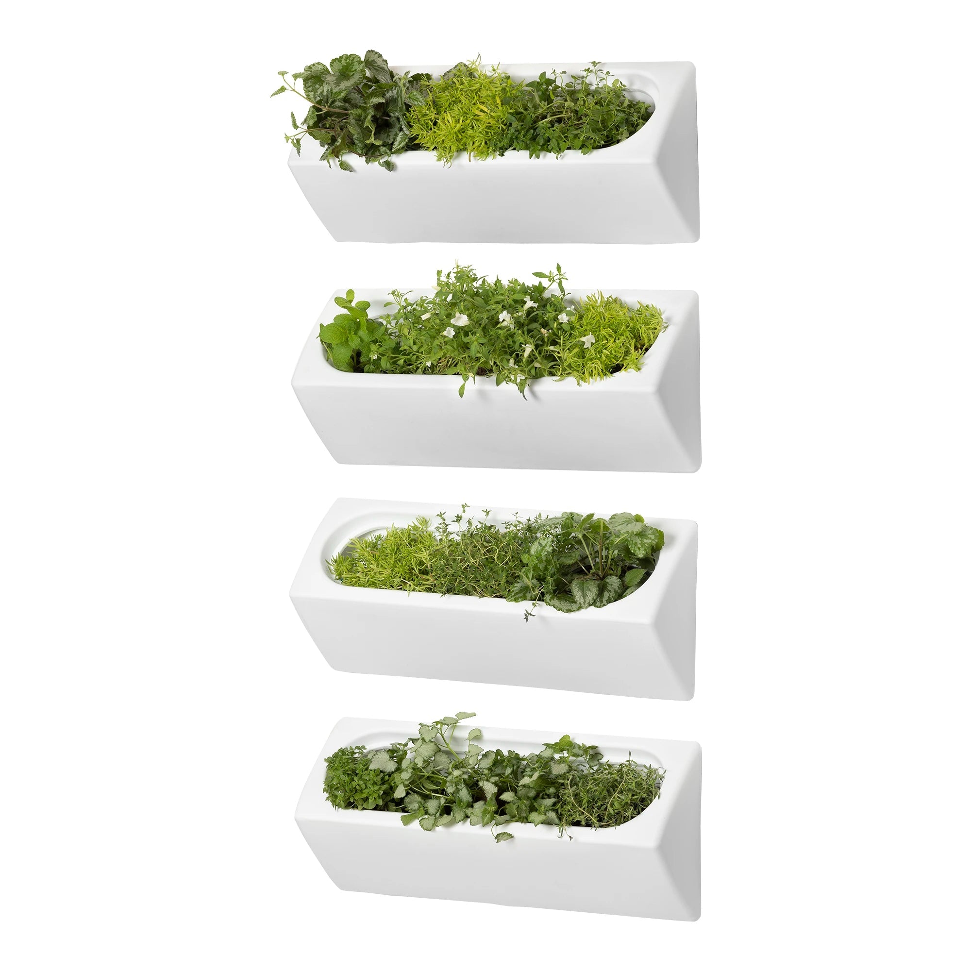 Outdoor Wall Planter – Set of 4 - Dalya