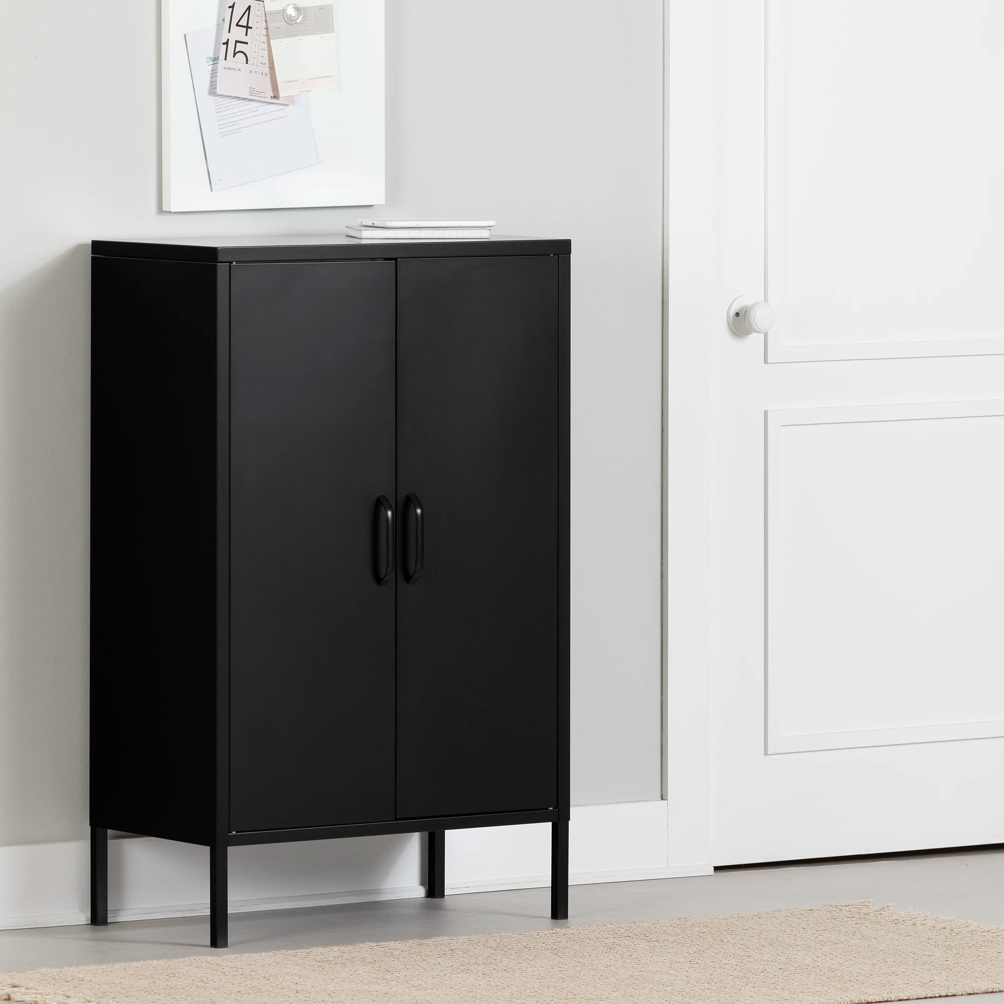 Metal 2-Door Accent Cabinet - Crea