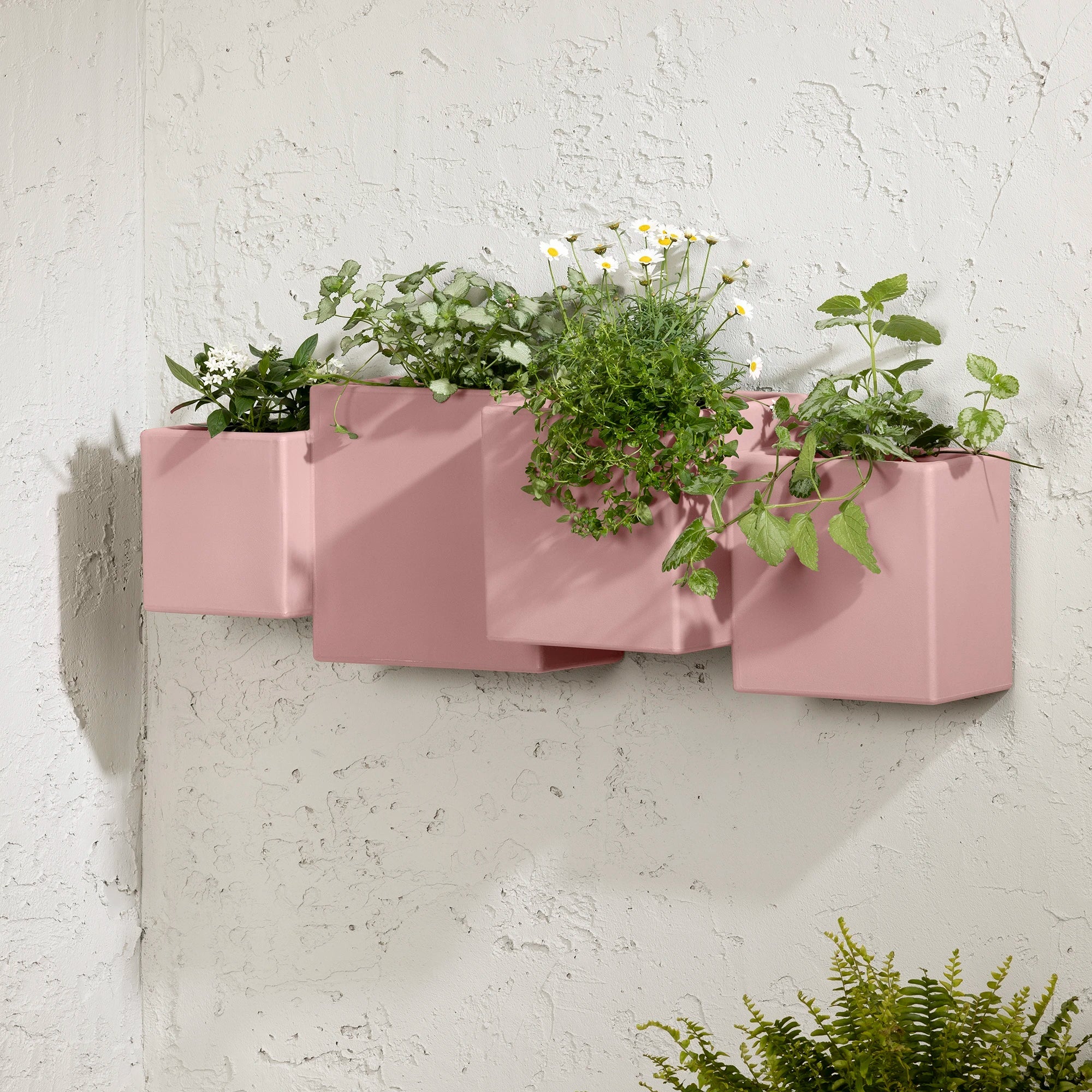 Outdoor Wall Planter – Set of 2 - Dalya