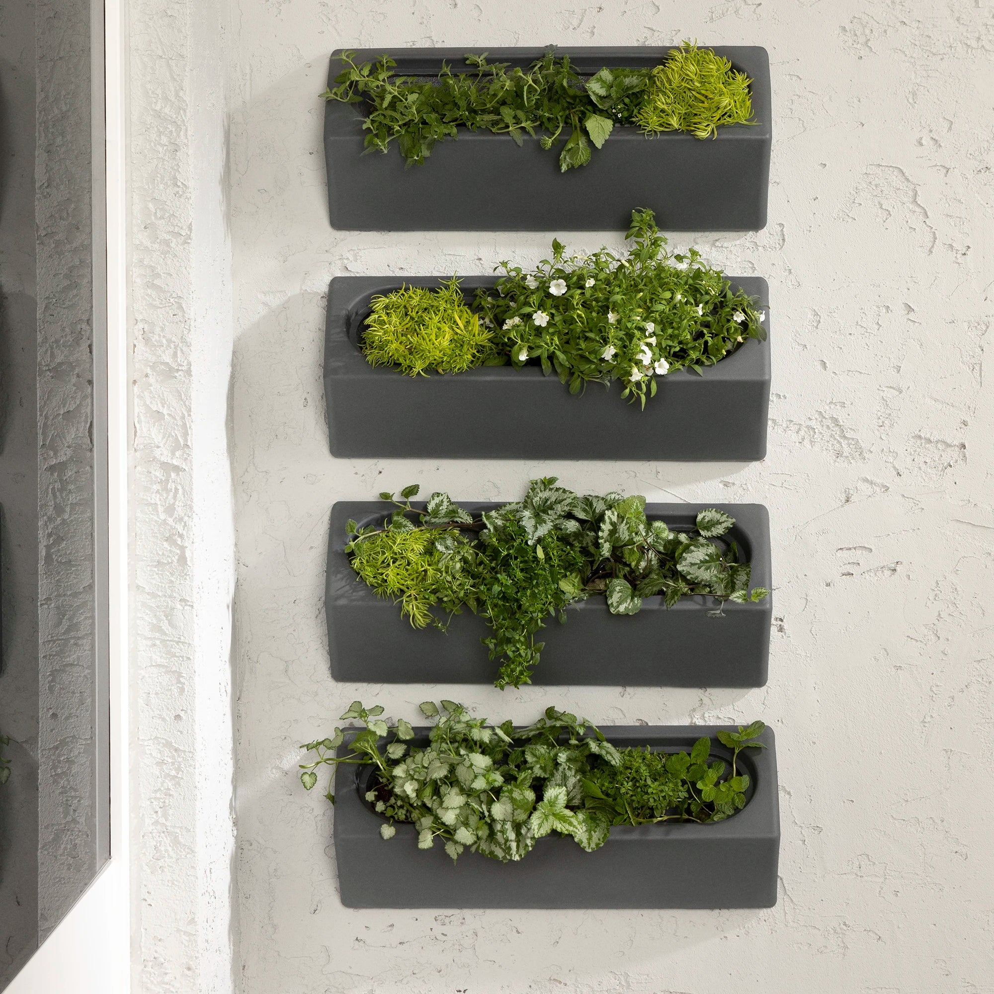 Outdoor Wall Planter – Set of 4 - Dalya